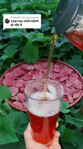 Trả lời @Vuvanthu trà cỏ máu #comauchuanrung #xuhuong #comau 