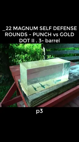 _22 MAGNUM SELF DEFENSE ROUNDS - PUNCH vs GOLD DOT II . 3- barrel