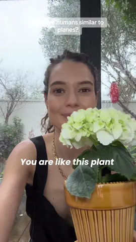 Meet me new plants 🌱 One is thriving and one isn’t - can you guess why?  #livewellbewell #selftalkmatters 