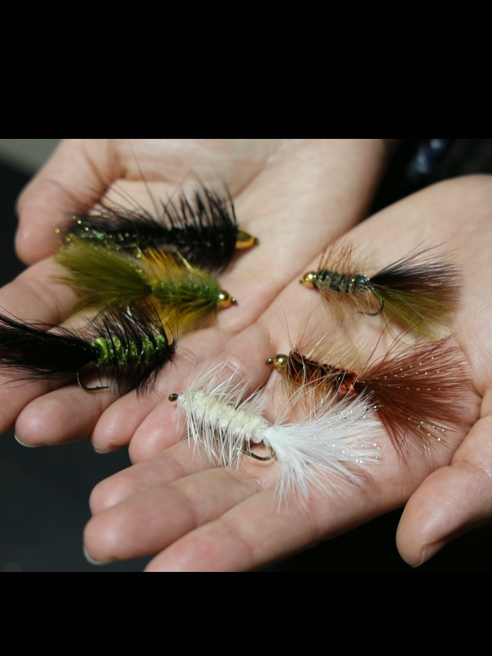 PART 1: Woolly buggers are a type of streamer fly, which are larger flies designed to sink. Woolly Buggers are incredibly versatile and they imitate all sorts of large aquatic insect larva, leeches, baitfish, and minnows.  Woolly bugger flies come in all colors and sizes ranging from white to purple and sizes from #12 to a size #2. Some have rubber legs while others come with or without bead heads. So we offer the most popular colors olive, brown, black, olive / black, white, and a few variations that combine those colors. I typically fish the more natural colors. For the more bright and colorful options like chartreuse and yellow, I use these when naturals aren’t moving fish.    You can fish woolly buggers year-round and it is such a great fly during the spring, summer, and fall seasons. Even in the winter, we’ve landed trout on slow stripping a bugger. Plus, woolly buggers are great for all fish, not just trout. Just to name a few we’ve caught plenty of panfish, bass, steelhead, and salmon on all sorts of bugger variations. #thellycrate #troutfishing #flyfishing  #woollybuggerfly #Outdoors #fishing #howtoflyfish