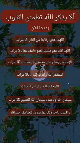 #اكتب_شيء_تؤجر_عليه #يارب❤️ #الله #دعاء_يريح_القلوب #لاتنسوا_ذكر_الله🤍 #لاتنسوالصلاه_علي_النبي❤️ #العالمين🤲🕋🕌🤲❤ #اقتباسات_عبارات_خواطر #دينية_اسلاميه_ادعيه_اذكار_قران_كريم #دعاء_يريح_القلوب_ويطمئن_النفوس #ياارب #بغداد_العراق #السعودية #اللامارات #دعاءمستجاب #لا_حول_ولا_قوة_الا_بالله #دعاءمستجاب #امين_يارب_امين🤲🤲 #الله #ياارب #امين_يارب_العالمين 