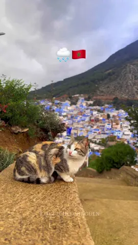 الشمال الزين والجمال ! 💙💎🌧️🇲🇦🥰 #إكسبلور  #المغرب #morocco  #explore #viral  #maroc 