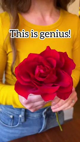 Make your roses WOW with this simple #hack 🌹😍 Perfect for Valentines day or any day! #roses #florist  #tipsandtricks #ValentinesDay 