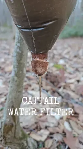 Replying to @momofgirls2006 Using a cattail seed head and bag to filter out sediment from water 💧 #fyp #foryou #survival #bushcraft #Outdoors #waterfilter #camping #LifeHack 