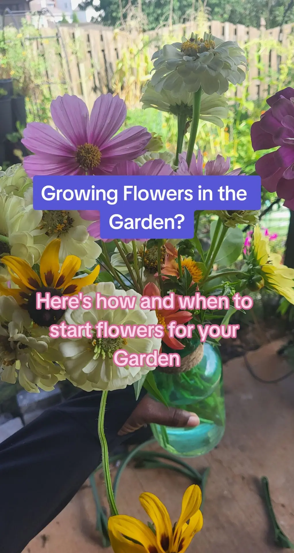 There are so many benefits to being intentional about growing flowers in my garden!  Benefits like:  - Welcoming pollinators and beneficial predatory insects - Improving the production of my fruiting crops - Bringing joy and beauty to my yard and home (I keep fresh flowers everywhere now!) Here's How and WHEN to start your flowers for your garden!  #gardening #flowergarden #cottagegarden #cutflowers #gardening #gardenplanning #gardening101 