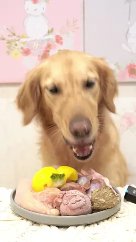 #ASMR #fyp #mukbang #cute #goldenretriever #dog #puppy #eatfood #狗狗 #狗狗吃播 #波尼啵啵 