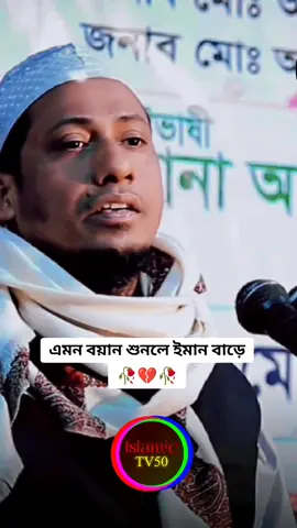 ১৪ই ফেব্রুয়ারি পালন করার আগে বয়ান টা শুনুন 💔🥺💔 / আনিসুর রহমান আশরাফী #new2024 #motivation #waz #foryou #islamic_video #viral #islamictv50 #newvideo #😔💔🥀 @For You House ⍟ @TikTok Bangladesh 