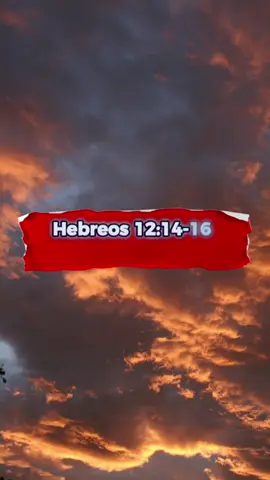 HEBREOS 12:14-16📜 Estar En Paz Con Todos Y cuidar Tu ESPÍRITU🤍 #Dios  #viral  #viralvideos  #capcut  #parati  #bible  #fé  #viralreels 