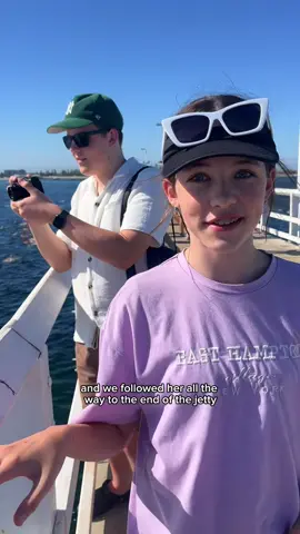 Sharks everywhere 😳 #Vlog #family 