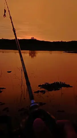 🫀 #hobimancing🐟🎣 #sunset #casting #fyp #aesthetic 
