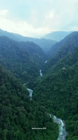 Keindahan hutan Taman Nasional Gunung Leuser Bukit Lawang dan sungai Bahorok🍃 .. .. #iqbaltanjung_4595 #gunungleuser #bukitlawang #visitbukitlawang #bukitlawangparadise #bohorok #bahorok #view #green #jungle #dji #drone #beautiful #beautifuldestinations #sumut #langkat #foryopage #foryou #viral #video #fypシ #fyp 