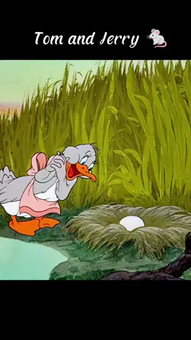 Duckling Adventures🐣#tomandjerry #tom #jerry #movie #movieclips #funny #funnyvideos #carrtoon #cartooncomedy #foryou #animation