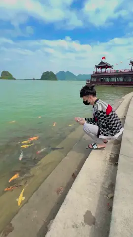 Nay ai đi Tam Chúc có ai gặp mình không nhỉ 😗#tamchuc #xuhuong 