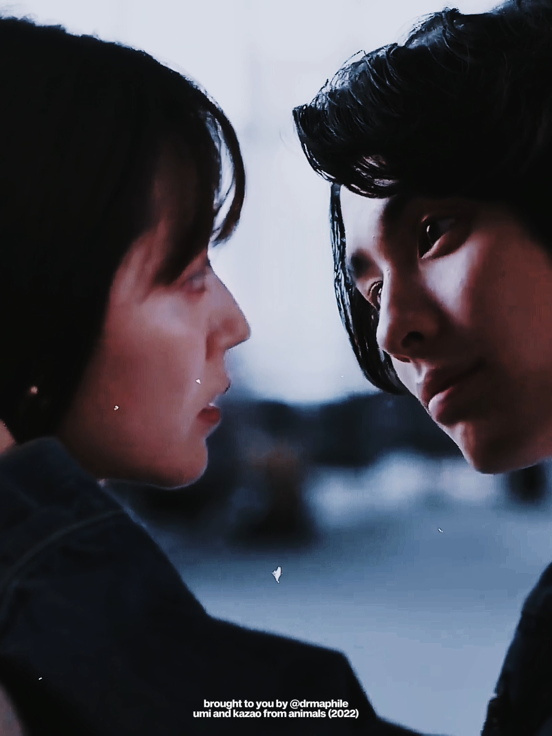 this was such a light drama <3 | ac/ib: @gapthedits | #kyoyahonda #hondakyoya #airisuzuki #suzukiairi #animals #animalsjdrama #jdrama #jdramaedit #japanesedrama #edit #foryou #fyp #drmaphile | scp: schddrama