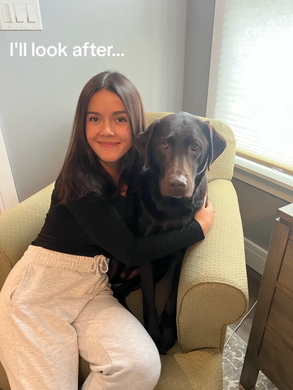 My hooman 🐾 #lab #labsoftiktok #labradorretriever #chocolatelab #illlookafteryou #souldog 