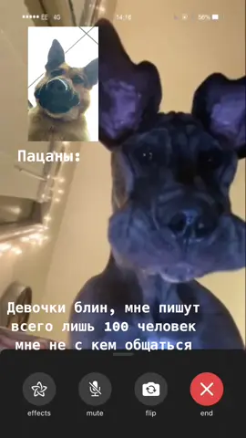 Приколы  #приколы #ржака #смешноевидео #смешно #прикол #разрыв #собака #пес #смех #животные #funny #animals #best #pet #homepet #dogsofinstagram #dogsofmathias777 