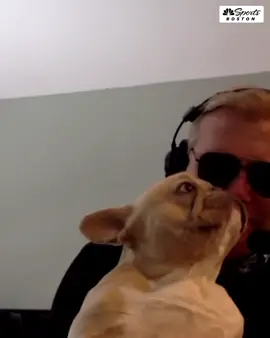Bertrand and Phil Perry are having a lively discussion but Zo is here to bring the best content 🐶 🤍