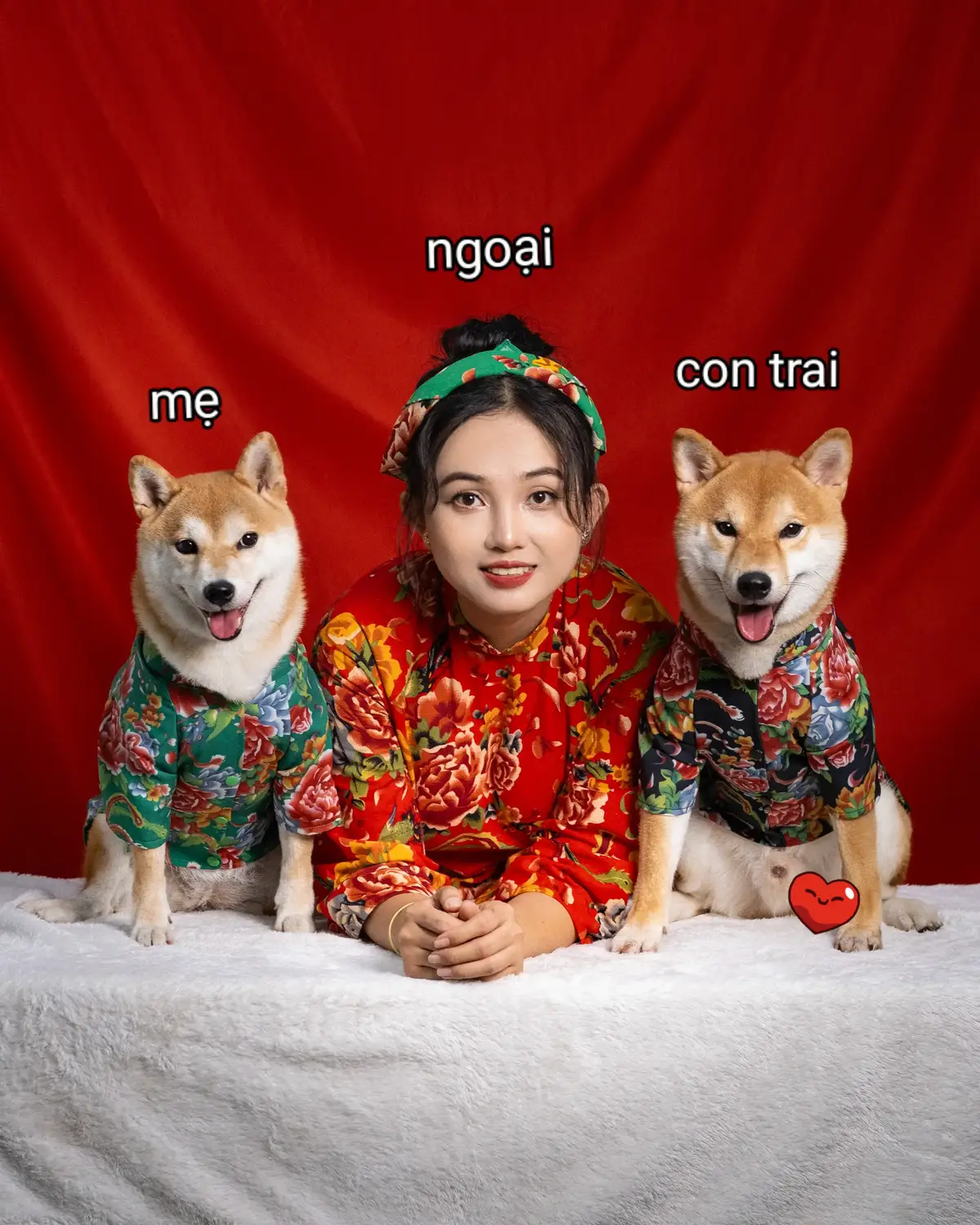 Cần tìm 1 con dâu để tạo ra thế hệ thứ 4 🤣 #ThanhThoiLuotTet #LearnOnTikTok #tiktokgiaitri #vtvcab #shiba #miyelele 