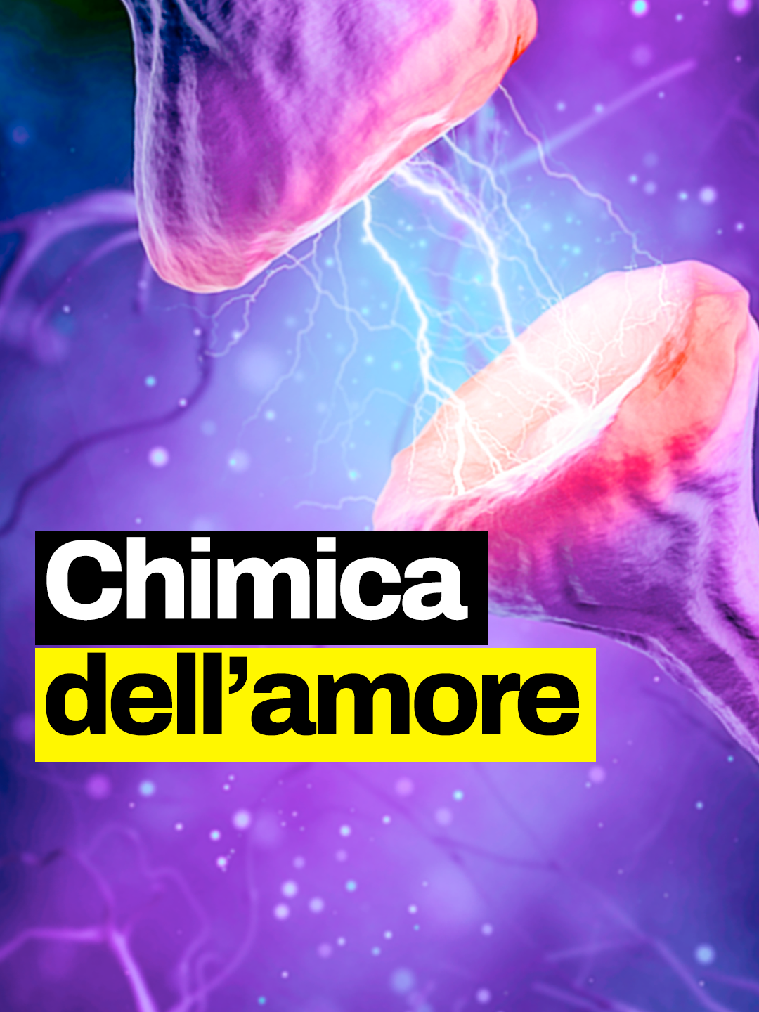 Cosa succede dal punto di vista biochimico nel nostro cervello quando ci innamoriamo? Vi spieghiamo insieme a @il_dena l’amore dal punto di vista scientifico #chimica #chimicadellamore #geopop #dopamina #figononlosapevo #imparacongeopop #cervello