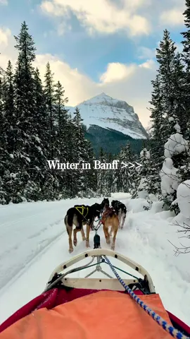 🇨🇦 5 Day Banff Itinerary ⬇️⁣ ⁣ Here are my recommendations for the perfect 5 day trip to Banff and Lake Louise during Winter @Banff & Lake Louise  AD ⁣ ⁣ ❄️ DAY 1⁣ – Go up the Banff Gondola  at Sulphur Mountain⁣ – Stroll along the boardwalk to Sanson's Peak ⁣ – Have lunch at Sky Bistro  ⁣ – Go for a dip at Banff Upper Hot Springs ⁣ – Check into Buffalo Mountain Lodge  ⁣ – Dinner at The Prow, Buffalo Mountain Lodge⁣ ⁣ ❄️ DAY 2⁣ – Icefields Parkway Full Day Tour, visiting 3 iconic lakes:⁣ Bow Lake, Peyto Lake & Abraham Lake Ice Bubbles⁣ – Dinner at Eden, Rimrock Hotel (I recommend the Fauna 7-course tasting menu) ⁣ ❄️ DAY 3⁣ – Dog Sledding on the Great Divide with Kingmik Dogsled Tours ⁣ – Lunch at The Station Restaurant⁣ – Ice Skating at Lake Louise⁣ – Dinner at Walliser Stube at Fairmont Chateau Lake Louise ⁣ – Attend the annual SnowDays Festival happening each January and check out the ice scupltures⁣ ⁣ ❄️ DAY 4⁣ – Ski Day at Lake Louise Ski Resort ⁣ – Lunch at Kuma Yama⁣ – Check into Fairmont Banff Springs ⁣ – Dinner at The Grizzly House⁣ ⁣ ❄️DAY 5⁣ – Cross Country Skiing in Banff National Park ⁣ – Explore Banff town: check out the annual snow sculpture display during winter⁣ – Banff Foodie self-guided tour:⁣ Banff Poutine, Mary's Popcorn, Beavertails & Wild Flour Bakery (try their brownie hot chocolate!)⁣ – Spa visit at Fairmont Banff Springs⁣ – Dinner at Grapes, Fairmont Banff Springs⁣ ⁣ #mybanff #hosted #banffcanada #banffalberta #banffgondola #banff #banffnationalpark #explorebanff #lakelouise #lakelouisecanada #explorecanada #explorealberta #parkscanada #canadatravel ⁣ ⁣ Banff Itinerary | Places to visit in Canada | Banff Hotels | Banff Travel Guide | Lake Louise Banff | Restaurants in Banff | Banff Tours | Banff attractions | Things to do in Banff in Winter | Banff Skiing | Banff Accommodation | Banff in February | Banff Winter Activities | Places to stay in Banff | Activities in Banff Winter | Banff Activities⁣