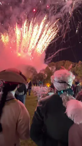 Magic carnival in the garden of ancient portuguese palace.  📍Jardins do Palácio Marquês de Pombal #carnival #carnaval #fireworks #masquerade #gardenparty #palace #historical #party #portugal 