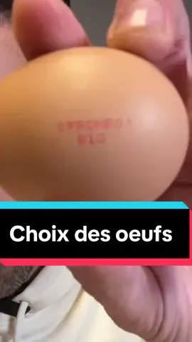 Qualité des oeufs. 