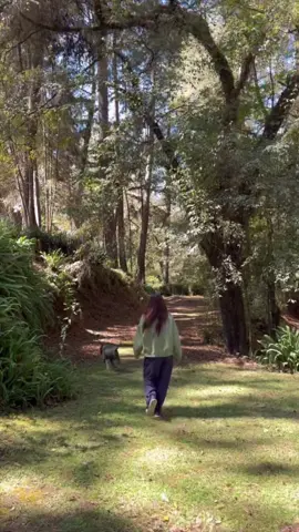 Ukelele neverland ✨ #neverland #francelyabreuu #francelyabreu #2001 #ukelele 