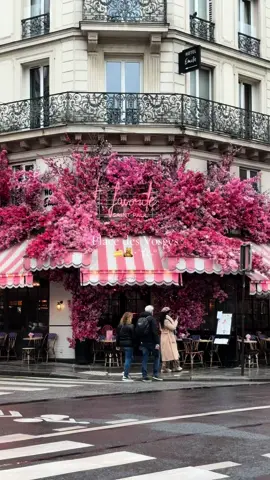 One of my favourite parts of Paris💌 #paris #placedesvosges #parisianstyle #parisian #europe #europetravel #travelling #traveltiktok #travellife #traveltok #foodparis #parisguide #guidetravel #foryoupage #fyp 