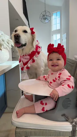Priority🐶🎀👶🏻 #babyanddog #sisters #valentine #fyp #dogsoftiktok 