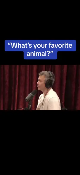 #JoeRogan #joeroganpodcast #joeroganclips #joeroganexperience #joeroganfamily #joeroganspotify #joeroganmeme #joerogancommunity #joeroganedit #jre #jreclips #jreshorts #shorts #podcast #podcasts #podcastclips #clips #shorts #theovon #theovonclips #theovonpodcast #theovoncomedy #theovonfunny #theovontalks #theovonn #theovonedit #theovonxtra  #postmalone #postmalonepodcast #postmalonefan #postmaloneclip #postmaloneshort #theovon #theovonclips #theovonpodcast #theovoncomedy #theovonfunny #theovontalks #theovonn #theovonedit #theovonxtra  #mrbeast #mrbeastchallenge #mrbeast6000 #mrbeastgaming #mrbeastenespañol #mrbeastburger #mrbeastfans #mrbeastbrasil #mrbeastcrew #mrbeastpodcast #mrbeastpodcastclips  #podcast #podcasts #podcastclips #clips #shorts  #podcast #fullsend #nelk #nelkgang #nelkboys #fullsendpodcastclip #fullsendpodcast #clip #clips #fullsends #fullsendsonly #fullsendit #nelkboysclip #nelkboy #nelktakeover #nelkclips #nelkboyscontent #nelkboysnews #nelkpodcastclips #happydad #happydadseltzer #fullsends #fullsendpodcast #fullsendornosend #fullsendpodcastclips #fullsenddiesel #fullsendstevie #fullsendclips #sugasean #UFC #danawhite #ufcclip #ufcclips #kyle #steiny #youtube #youtuber #clip #podcastclip #stevewilldoit  #tyleroliveira #youtube #youtubeclip #crazy #scary #foryou #foryoupage #wild #aliens #ufo #uap #alien #aliensighting #aliensarereal #alienz👽 #alienigenas #alienigena #alieninvasion #alienx #mexico #alienmexico  #nfl #nflfootball #patriots #patriotsfootball #newheights #newheightspodcast #newheightshow #newheightspodcastclips #newheightslive #podcast #traviskelce #jasonkelce #tombrady #tombrady12 #chiefs #eagles 