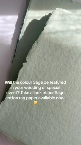 Our Sage cotton rag paper is stunning and it's available now on the shop. Limited stock available to send straight away, however we'll have more ready in approx. 10 days so you can still pre-order.  . . . . . . #sagestationery #sage #sagewedding #cottonragpaper #recycledpaper #handmadepaper #weddingstationery #weddingstationary #weddinginspiration #weddingplanning #weddingideas #weddinginspo #greenwedding #palegreen 
