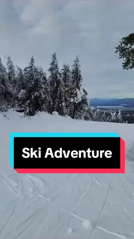 Looking to enjoy some winter fun? We had the most wonderful time @Gunstock Mountain Resort! They have a run for everyone! I spent most of my time on the green runs, that everyone was so encouraging and helpful! They have a true learners hill with a magic carpet if you aren’t ready to brave the chair lifts, but also offer black diamonds for the more experience skiers in your group!  If skiing isn’t for you, they offer snow tubing and snowboarding, as well! They have rentals, too! Gunstock is so perfect for everyone, and is a spot that that you have to check out this winter!  With so many spots around New England to enjoy the slopes, where are your favorite? #ski #skiing #skitheworld #skitheeast🎿 #gunstock #gunstockmtn #newhampshire #newhampshirelife #newhampshireoutdoors #newhampshireliving #boston #bostonpr #blinkboston 