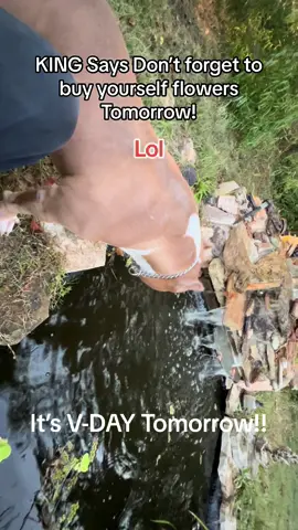 #waterfall #flowers #mileycyrus #motivation #inspiration #mystory #overcome #life #extreme #exotic #americanbullys #americanbullyxI #king #kong #MajesticBully #*son #americanbullly #kingkong #father #sire #Ch455bdetox #frip #Detox #*stud #puppies #fawn #white #45southbully