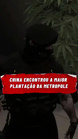 China encontrou a MAIOR plantação da metropole 😱 #chinadorp #policiarp #pm #metropolegg #rp #fy #fyp