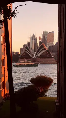 Hey, @Sydney, do you believe in love at first sight, or should we walk by again 🤭  This #ValentinesDay we're sending you a whole lotta love from @New South Wales capital city 🌹 Not only was this sparkling harbour city the setting for Sydney Sweeney and Glen Powell's rom-com @AnyoneButYou, it's also been the location for many a proposal or romantic gesture💘 Looking for a way to spoil your significant other? We've got date night sorted! From sunset strolls along the shoreline and sailing across #SydneyHarbour, to intimate restaurants dinners or picnics in the park, #Sydney is the ultimate backdrop for your own movie romance 🎬   📍: #Sydney, #NewSouthWales   #SeeAustralia #ComeAndSayGday #NewSouthWales #Australia #Travel #TravelAustralia #DownUnder #tiktoktravel #ValentinesDay #DateNightSydney #SydneyDateSpots #AnyoneButYou #AnyoneButYouMovie #FriendDate    ID: a collection of moments from around a harbour city.