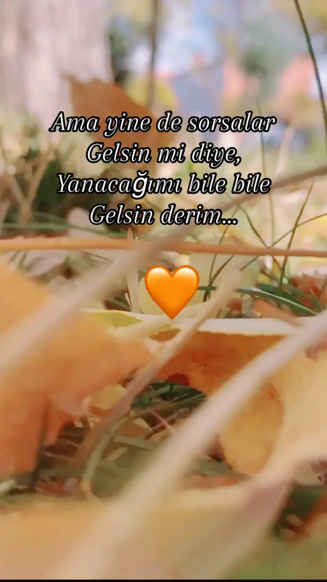 #seniyazdımkalbime #müslümgürses #müslümbaba #sevgililergünü #kutluolsun 