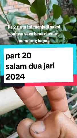 pemilihan umum 2024 #fyp #prabowopersiden2024  #pemilu2024sukses #prabowosatuputaran 