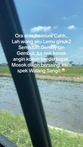 Definisi Meyakinkan diri sendiri nek iki asline yopengen body korea #dumes #justkonten #gurkonten #gabut #fyp #fypシ #masukberanda #quotes #jawapride #berandatiktok #tiktok 