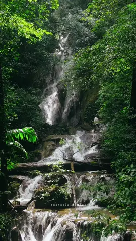 Can't even imagine if there are places like this in Sri Lanka 👀🙌🇱🇰#rainyday #trending #viral #travelsrilanka🇱🇰 #srilankatourism #ceylon_tik_tok #greenvibes💚 #aerialvideography🚁🚁🚁 #viral 