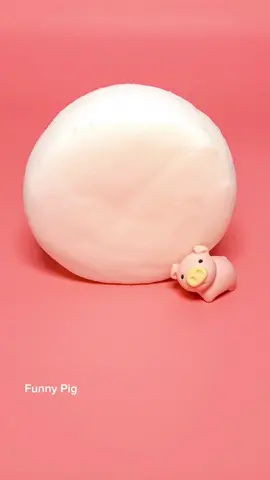 #funnypig #funny #viralvideo #trend #xuhuong #fyp 