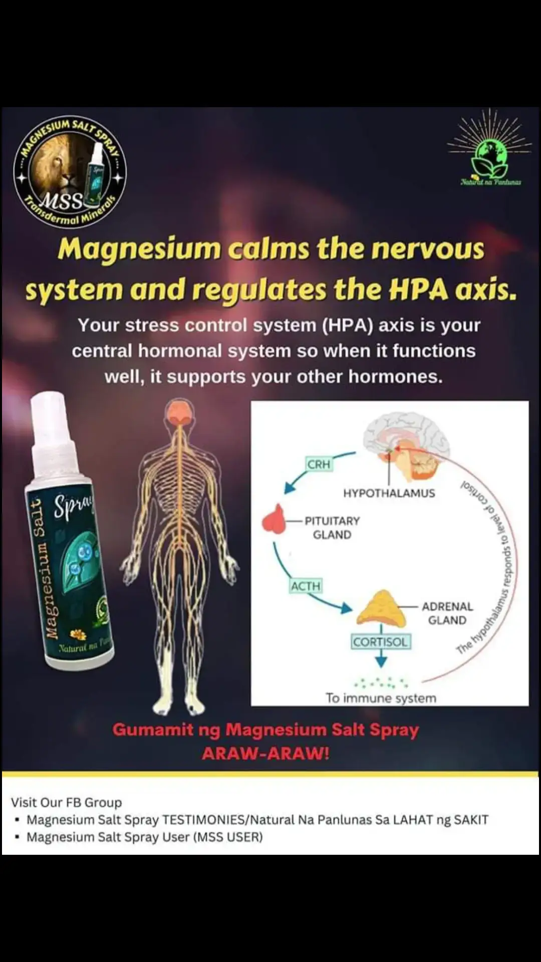 Ano nga ba ang MAGNESIUM SALT SPRAY? Ang MSS minerals ang content nya, pangunahin ang MAGNESIUM. Kaya po tayo nakakaranas ng ibat-ibang karamdaman dahil sa kakulangan ng mga minerals lalo na ang magnesium. Kapag naibigay ntin ito araw2x sa katawan,kusa na pong mag-re-repair ang katawan o ma-aactivate na ang natural healing mechanism nito. #MSS #MAGNESIUMsaltSPRAY #NATURALnaPANLUNAS #magnesiumdeficiency #allinone #minerals  #naturalnapanlunasadvocate #minerals #allinone  #transdermalmineralsupplement #amazing #