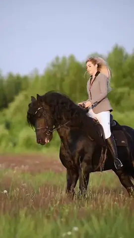 #horse #horses #viralvideo #viraltiktok 