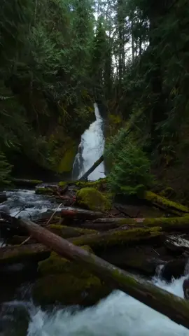 Venturing through the lush canopy, each tree a fleeting blur as we soar towards the crescendo of nature's symphony—a breathtaking waterfall hidden within the heart of the forest 🤩 #waterfallwednesday #waterfall #waterfalls #creek #waterfallchasing #waterfalllovers #forest #wilderness #fpv #djiglobal #djiavata #godisgood #naturetok #oregonexplored #pnwonderland #pacificnorthwest 