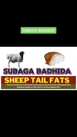 SUBAGA BADHIDA IDAHA