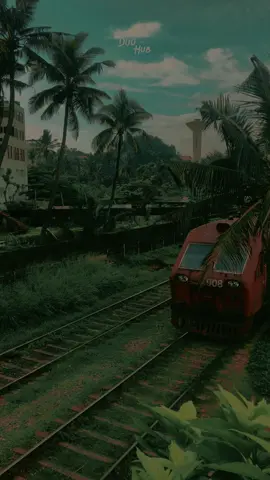 Sri Lanka | Colombo 💫🍃🚂 #srilanka #traveling #vibes #color #train #duohubtraveling #colombo #trending #viralvideo #dark 