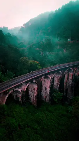 NINE ARCH BRIDGE I couldn't have imagined a better atmosphere on this beautiful morning at the impressive Nine Arch Bridge in Sri Lanka. Getting up early was all the more rewarding when you have this breathtaking spot to yourself and the fog creates a mystical atmosphere. One of the most beautiful and impressive places on our entire Sri Lanka tour. A stone bridge in the middle of the jungle, surrounded by dense, mystical mist. Almost like in a movie. #foggymorning #moodylandscape #foggymoody #moodyvibes #visitsrilanka #moodygrams #outplanetdaily #exploreearth #theglobewanderer #theearthoutdoors #traveladdict #earthfocus #hellofrom #welcomenature #findyouradventure #stayandwander #wonderful_places #amazingview #beautifulplaces #roamnation #visualambassadors #naturemagic #adventureawaits #PlacesToVisit #travelreels #scenicview #wildandfree #capturethemoment #exploremore #nomadict 