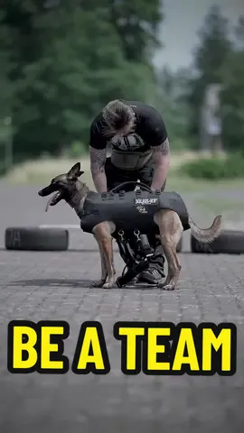 BE A TEAM! Be there fro each other #k9 #k9unit #malinois #workingdog #doglove #teamwork #hund #malinoisdog 