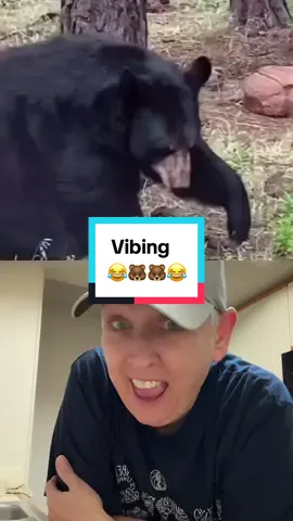 #duet with @🤣Kadesh Bey😂  Not the paw up in the air 😂😂😂 #duetswithkim #kitchenduetswithkim #bear #vibing 