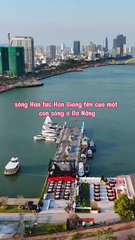 Sông Hàn Đà Nẵng - Dịu Dàng vào buổi sáng -êm ả khi chiều về - Rực Rỡ  ánh đèn Đêm ⭐️⭐️⭐️#chimapbannha #danang43 #danang #songhandanang #songhan #caurongdanang #caudanang #dulichdanang 