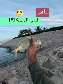 أخيرا صدتها 😅😁[ السمك الذي هرب مني🐟😁]. #سمك #بحر #اكسبلور #جقنق #السعودية #صيد #هامور #casting #foryou #fishing #fishingtips #